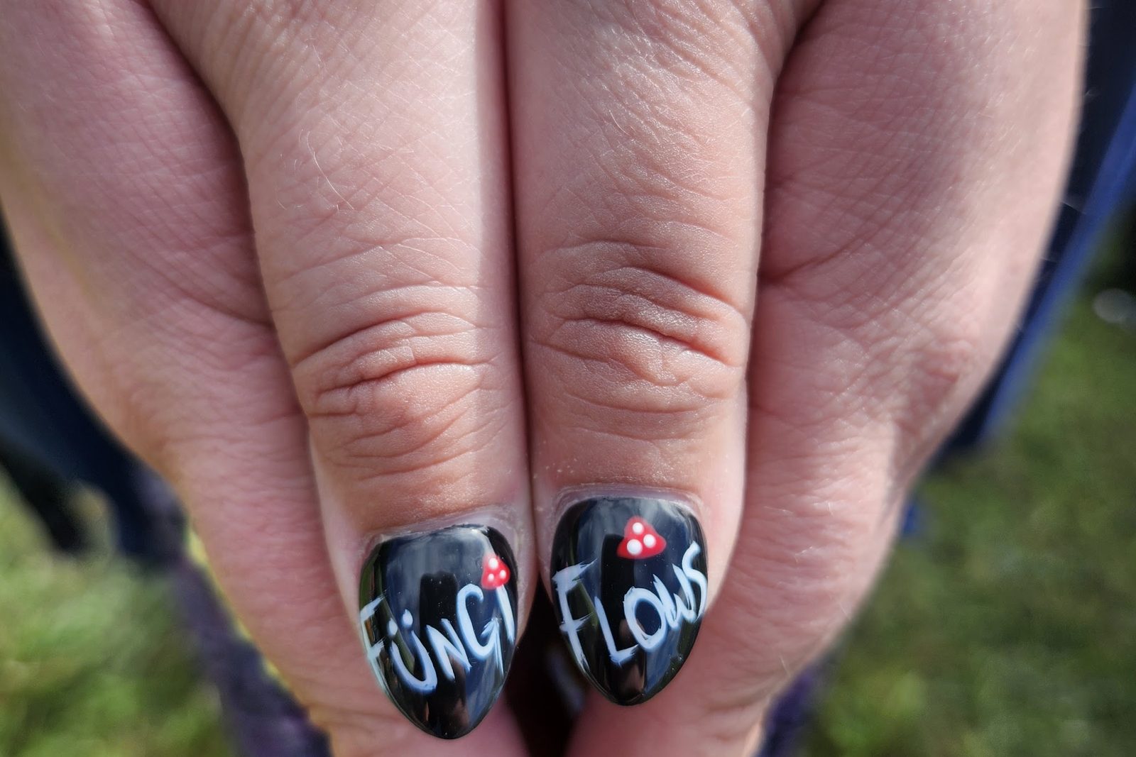 Repping Fungi Flows