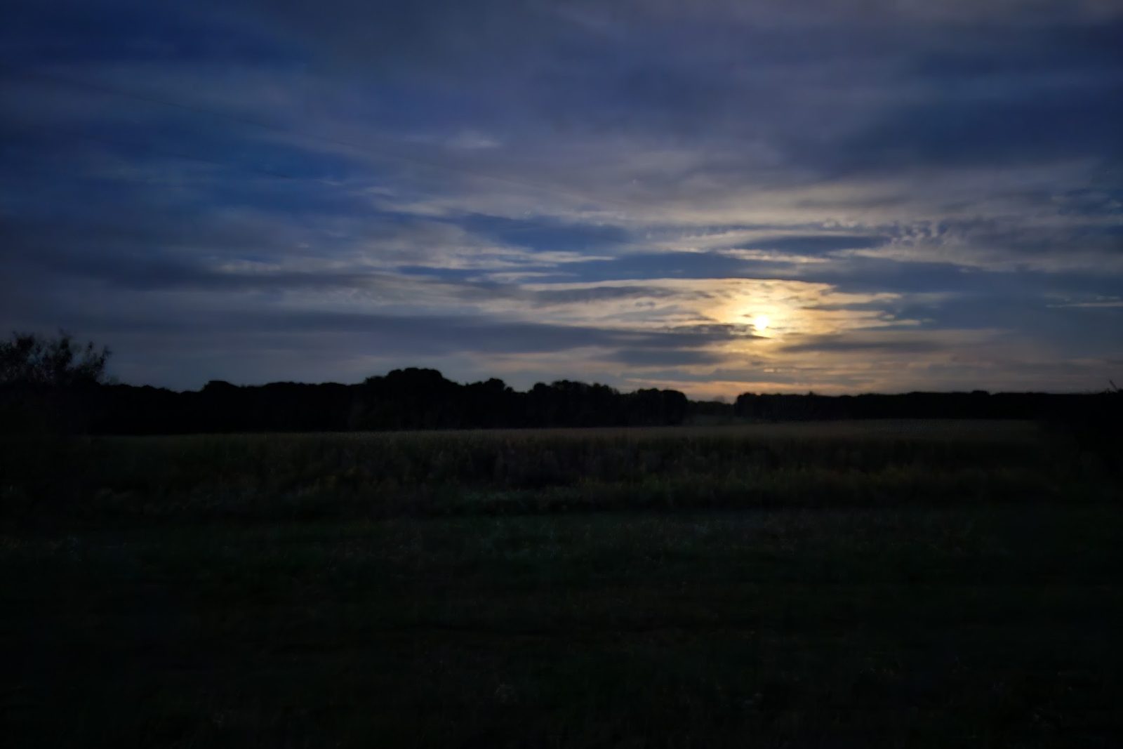 Moonrise over Forest Farms